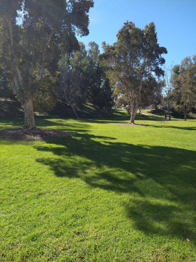 Townhouse for rent at 2713 Via Cardel, Carlsbad, CA 92010