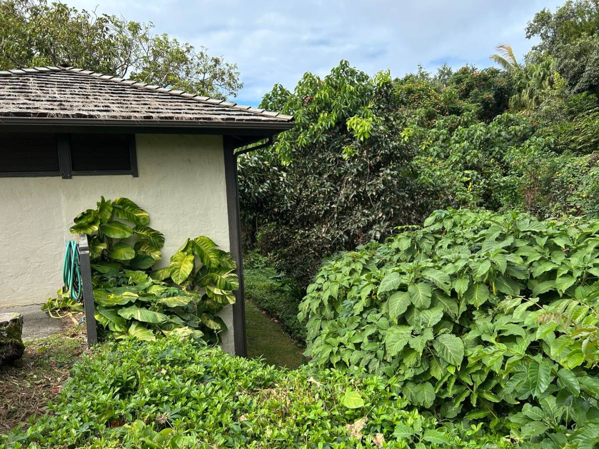 Condo for rent at 3890 Kamehameha Rd, Princeville, HI 96722