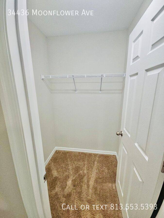 House for rent at 34436 Moonflower Ave, Wesley Chapel, FL 33545