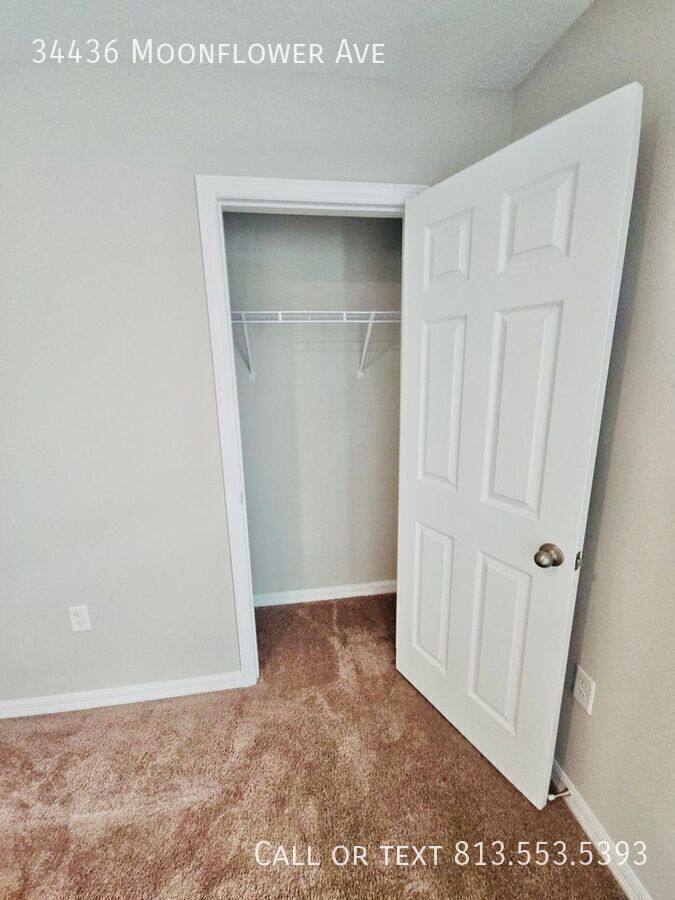 House for rent at 34436 Moonflower Ave, Wesley Chapel, FL 33545
