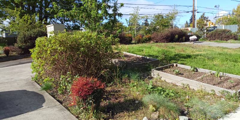 Apartment for rent at 4220 S 164th St #3A, Seattle, WA 98188