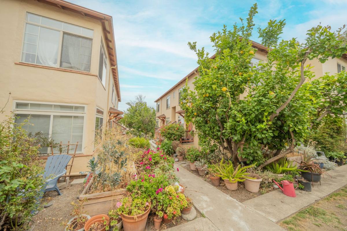 Apartment for rent at 2526 Ivy Dr, Oakland, CA 94606