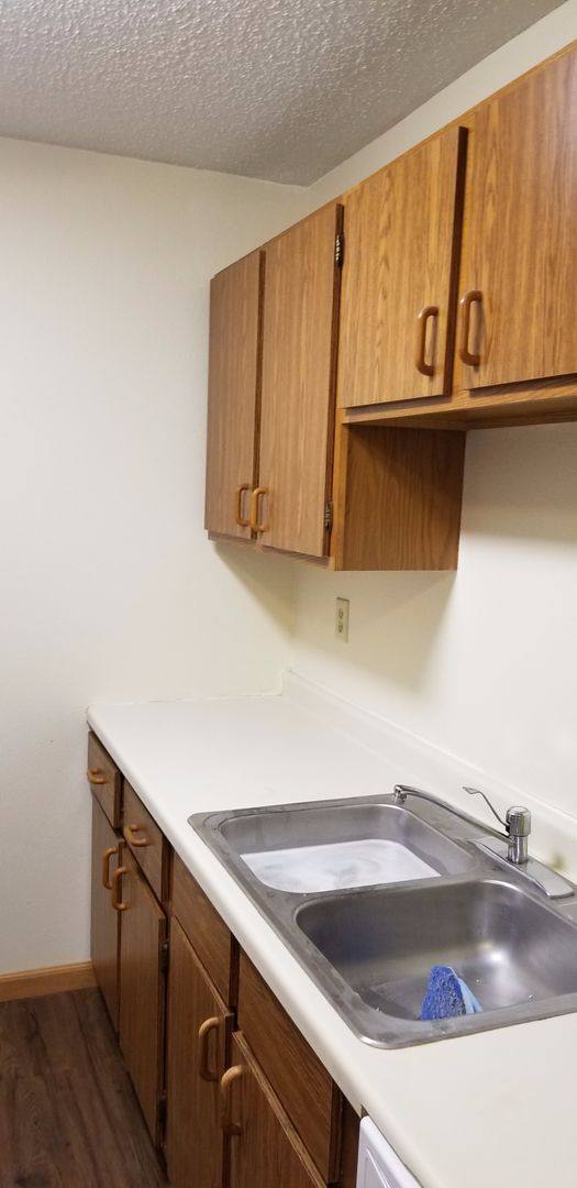 Apartment for rent at 166 22NDSTREET N W, Owatonna, MN 55060