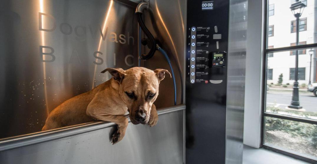 Apartment for rent at Amaze at Noda In Charlotte, 3750 Philemon Ave, Charlotte, NC 28206