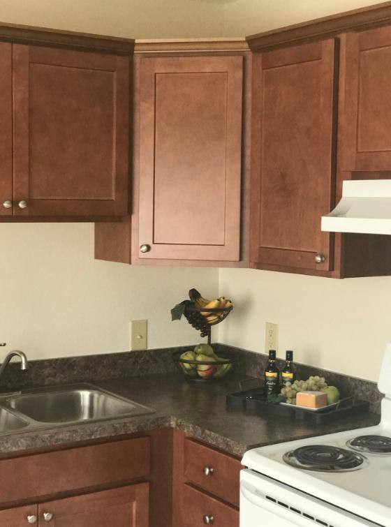 Riverview Townhomes, 5900 N River Rd #16, Waterville, OH 43566 - Apartment for Rent - Image 3