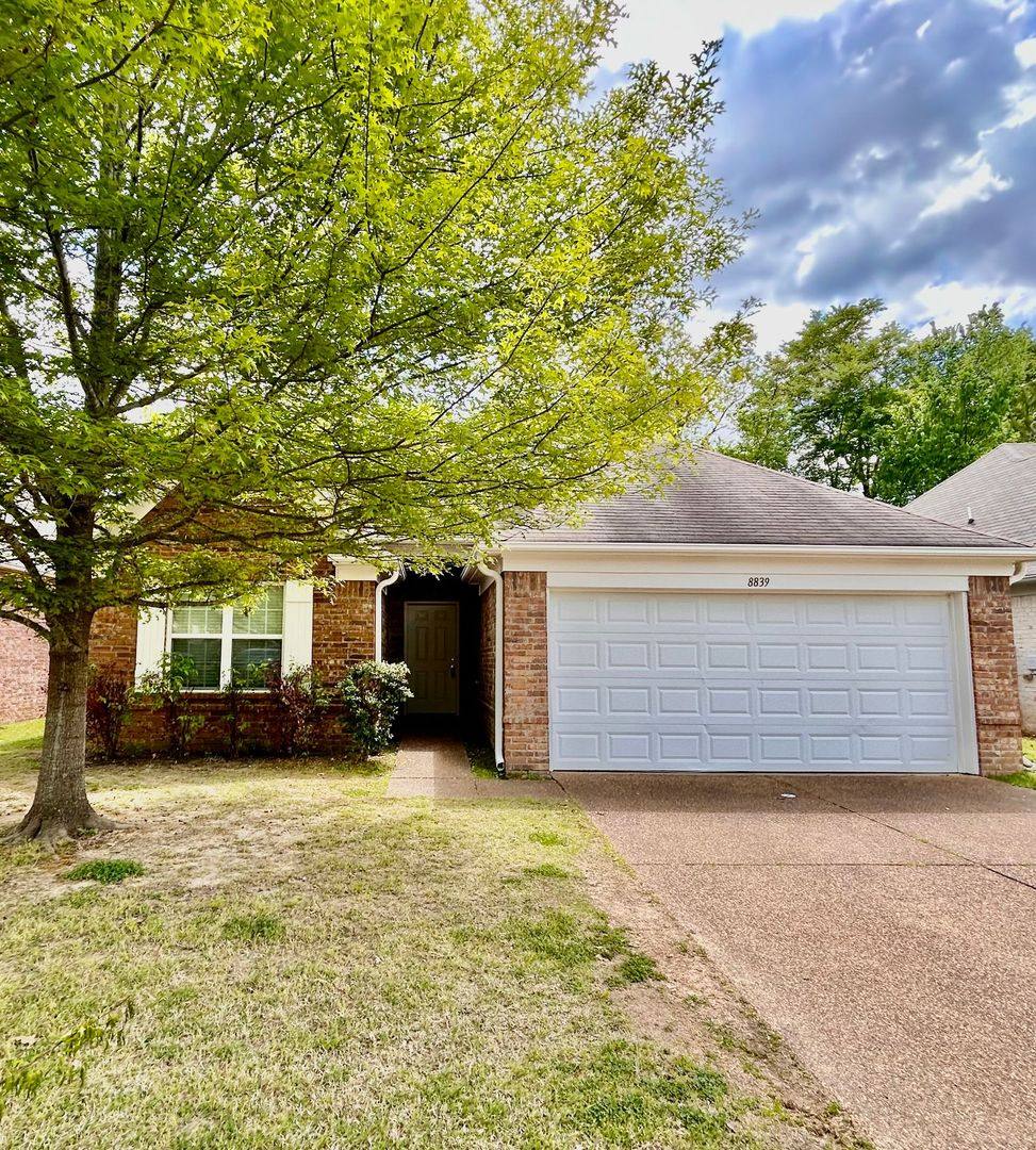 House for rent at 8839 Campaldino Ave, Cordova, TN 38018