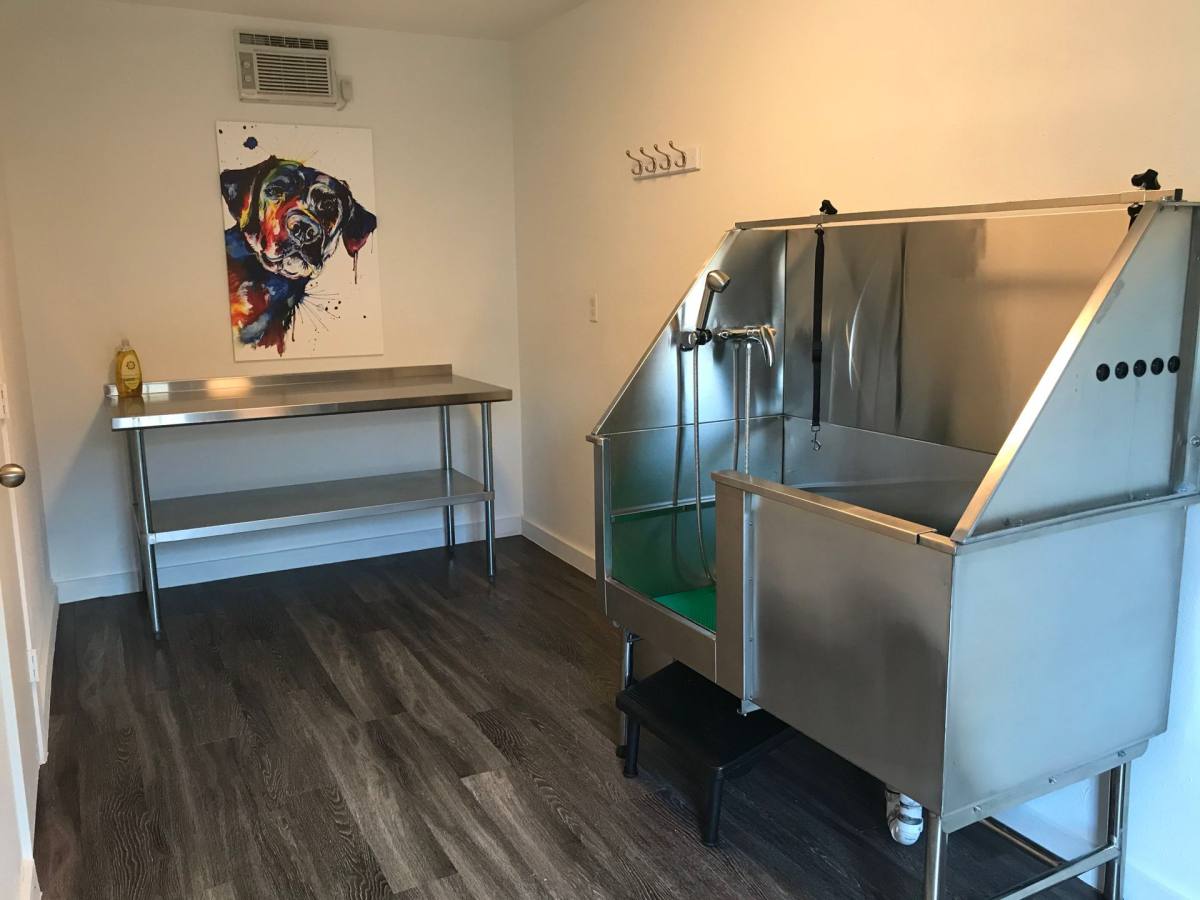 Apartment for rent at 1315 Norwalk Lane, Austin, TX 78703