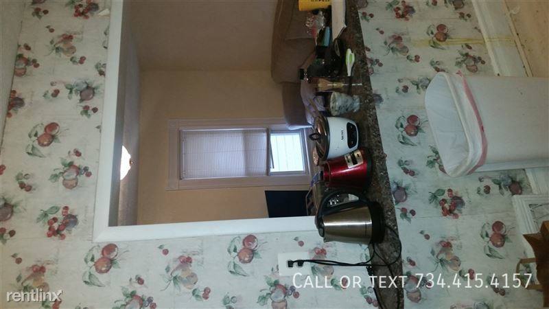 Apartment for rent at 537 S 4th Ave #3, Ann Arbor, MI 48104