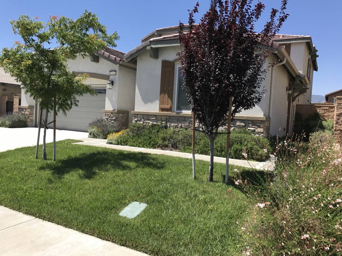 House for rent at 15342 Parsley Leaf Place, Fontana, CA 92336