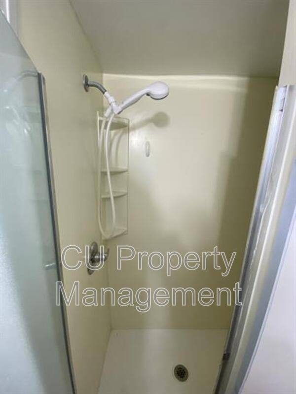 Apartment for rent at 615 W White St #1, Champaign, IL 61820