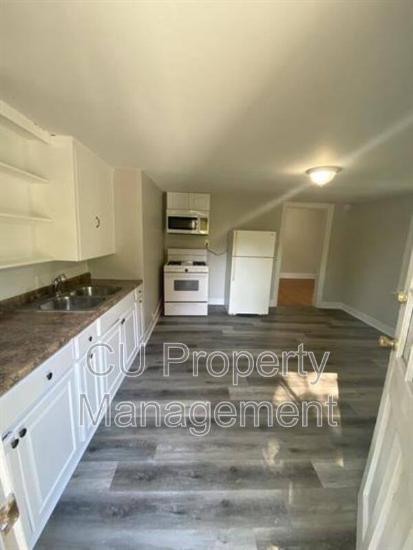 Apartment for rent at 615 W White St #1, Champaign, IL 61820