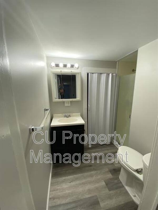 Apartment for rent at 615 W White St #1, Champaign, IL 61820