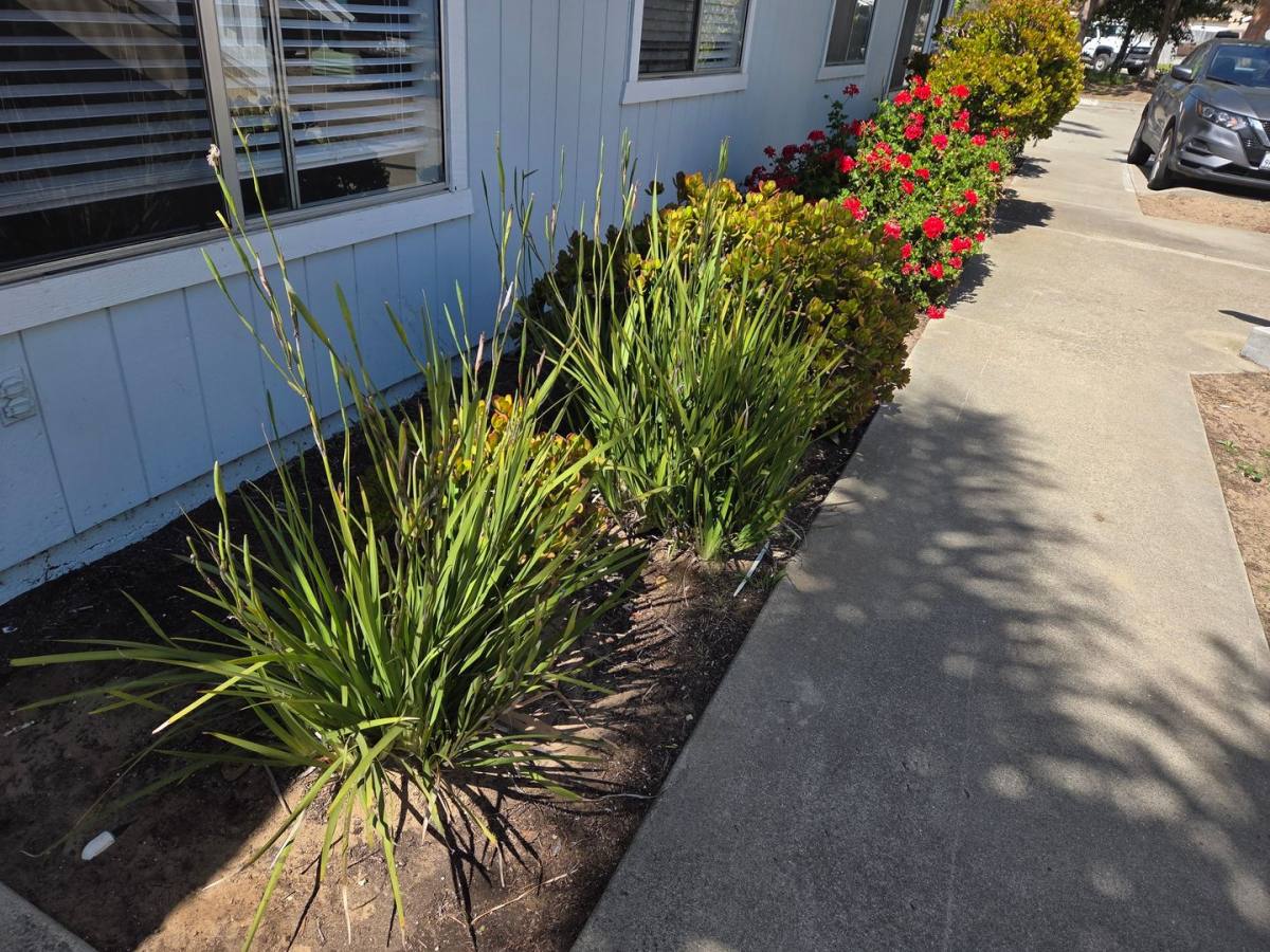 Apartment for rent at 1460, 1470, 1480 & 1490 S, Oceano, CA 93445