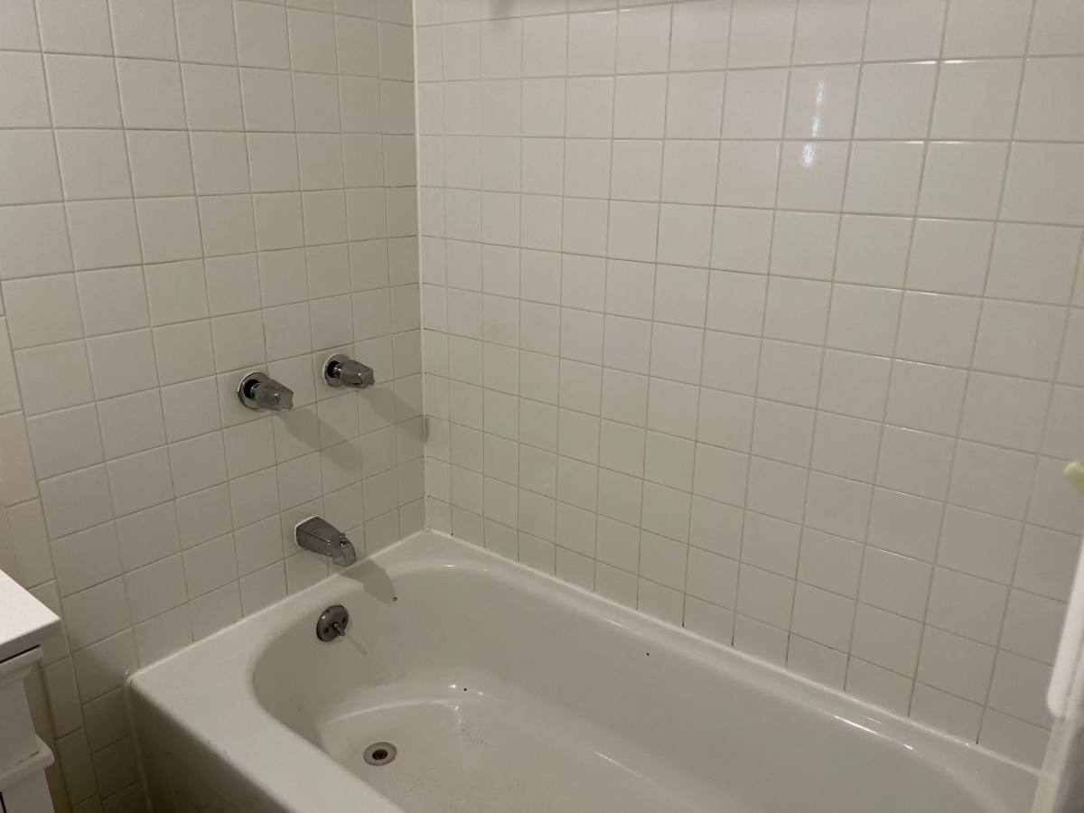 Apartment for rent at 1358 Ogden St, Denver, CO 80218