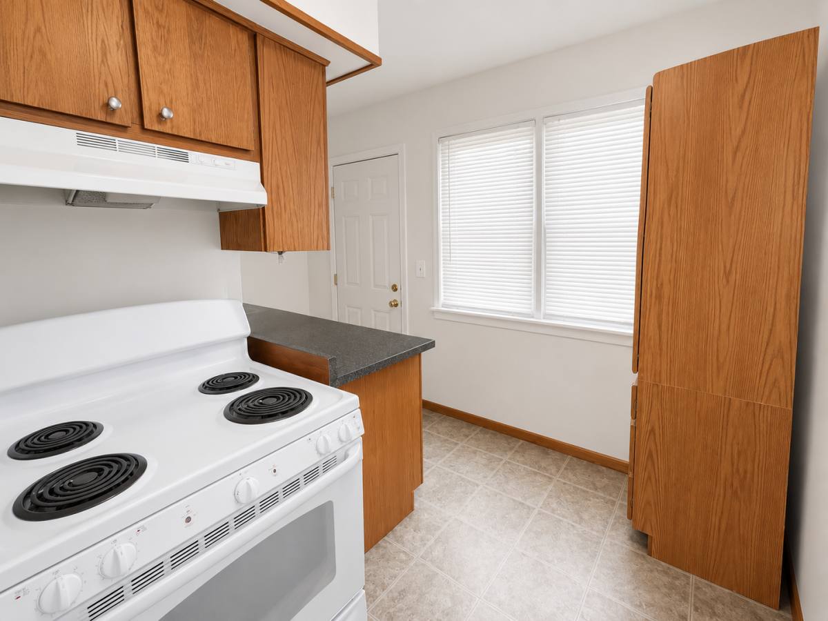 1062 11th Ave SE, Minneapolis, MN 55414 - Apartment for Rent - Image 4