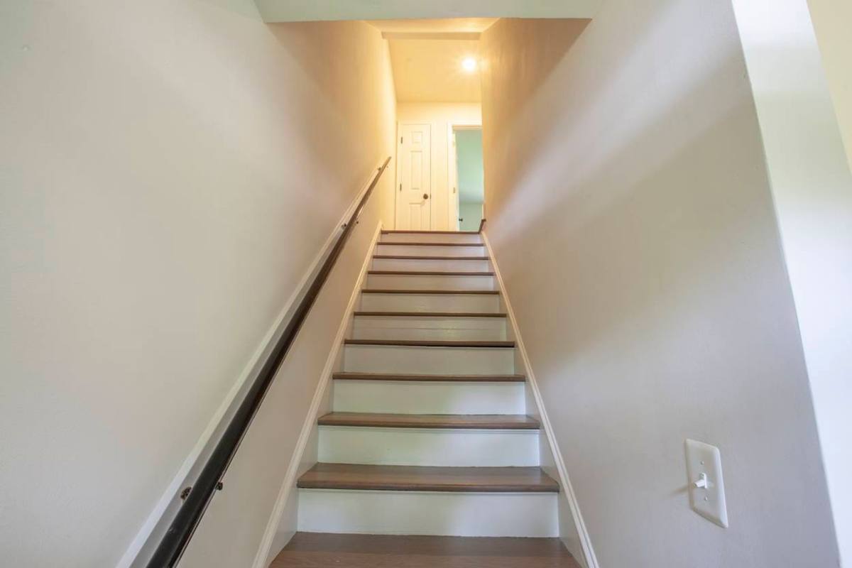 Apartment for rent at 247 Stribling Ave, Charlottesville, VA 22903