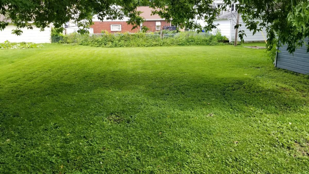 House for rent at 826 W Elsie St, Appleton, WI 54914