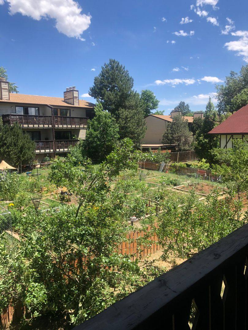 Condo for rent at 3250 Oneal Circle, Boulder, CO 80301