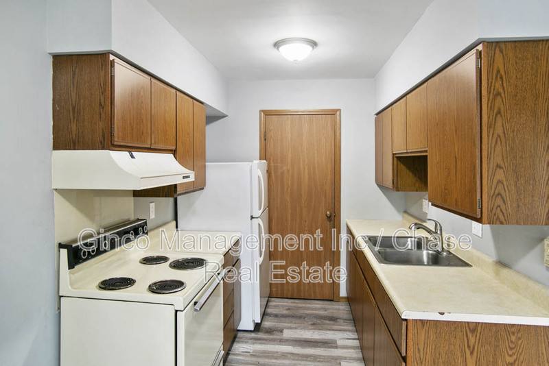 Apartment for rent at 405 E Reed St #9, Braidwood, IL 60408
