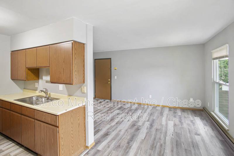 Apartment for rent at 405 E Reed St #9, Braidwood, IL 60408