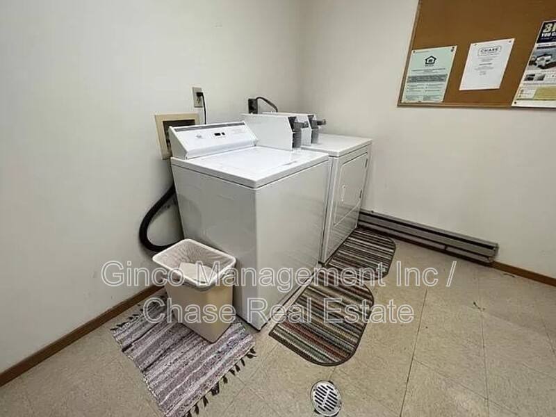 Apartment for rent at 405 E Reed St #9, Braidwood, IL 60408