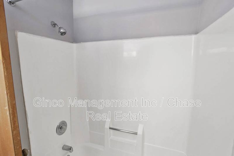 Apartment for rent at 405 E Reed St #9, Braidwood, IL 60408