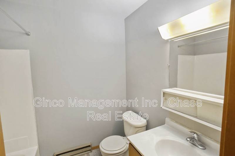 Apartment for rent at 405 E Reed St #9, Braidwood, IL 60408