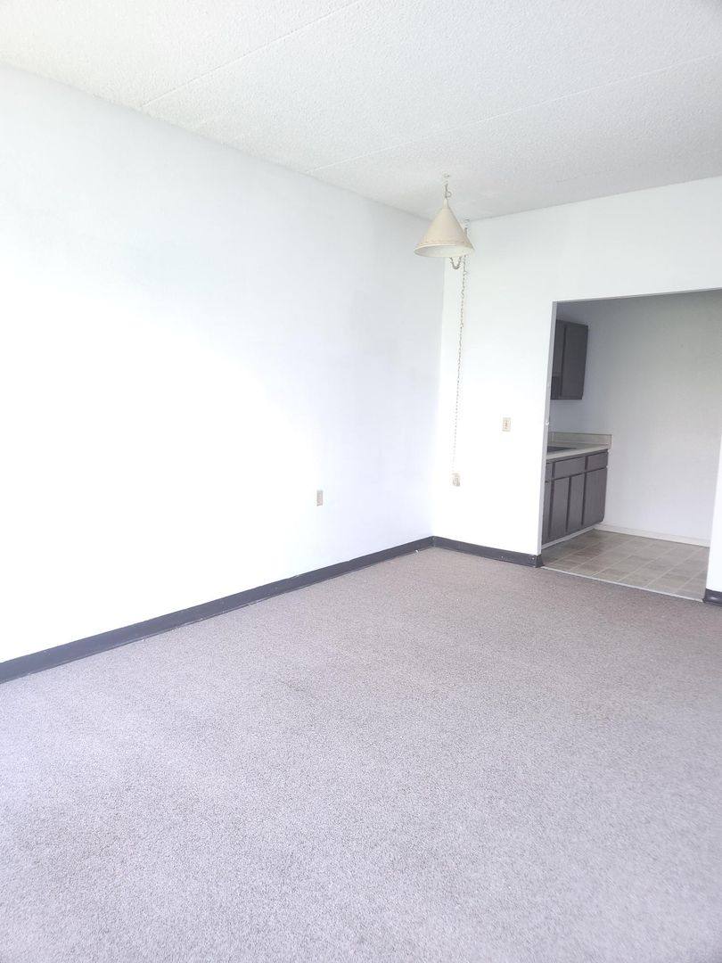 Apartment for rent at 211 S Smith St, Algona, IA 50511
