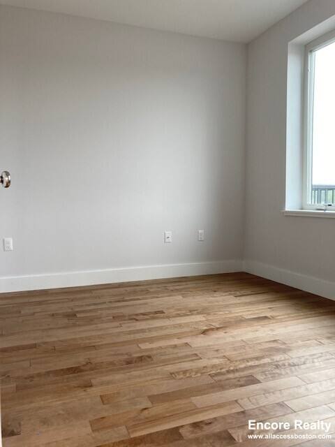 Apartment for rent at 50 Hichborn St #501, Brighton, MA 02135