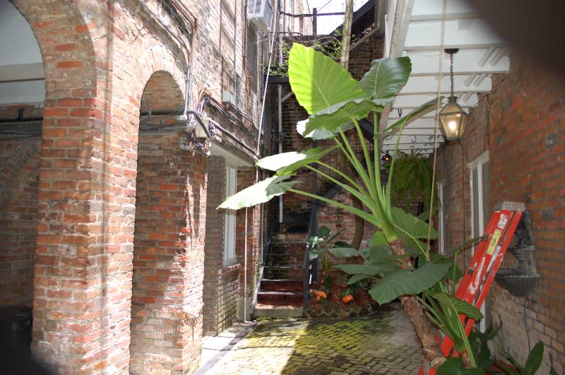 Apartment for rent at 514 Madison St #8, New Orleans, LA 70116