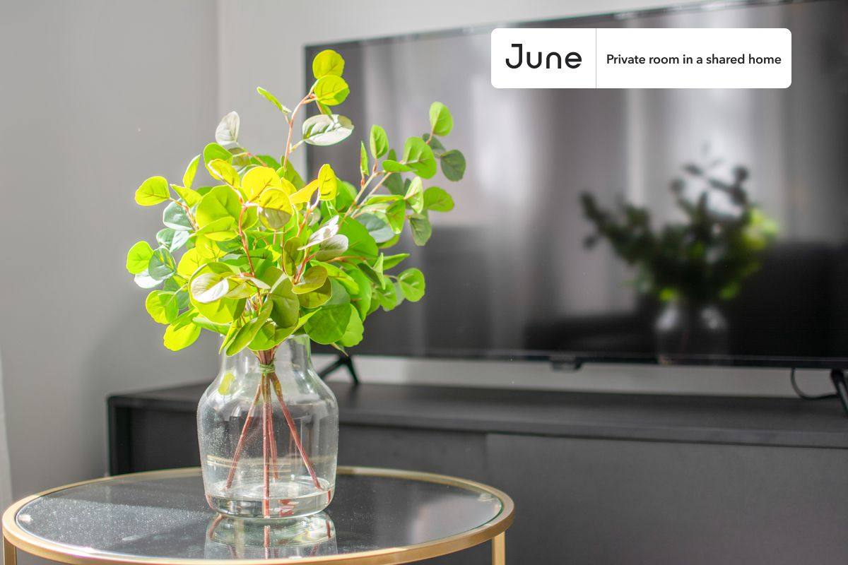 Apartment for rent at 36 N Bennet St #C, Boston, MA 02113