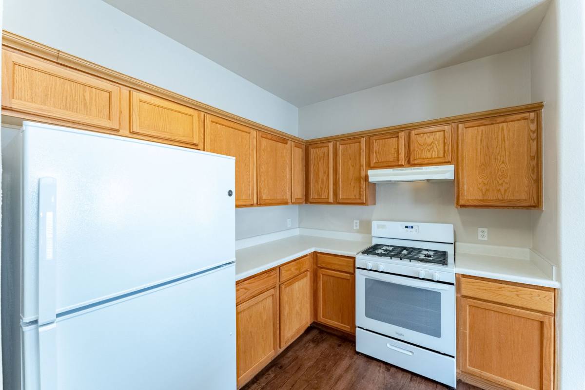 House for rent at 2825 Southampton Way, Round Rock, TX 78664