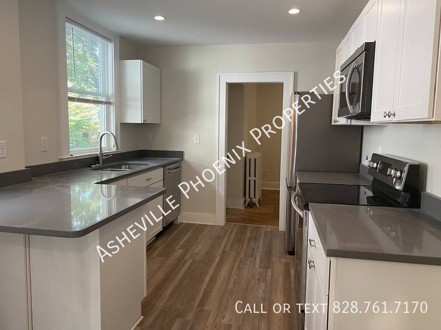 Apartment for rent at 295 E Chestnut St #1, Asheville, NC 28801