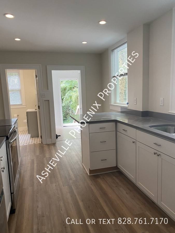 Apartment for rent at 295 E Chestnut St #1, Asheville, NC 28801