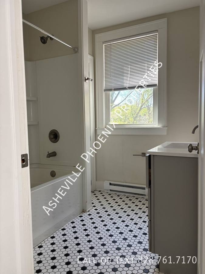 Apartment for rent at 295 E Chestnut St #1, Asheville, NC 28801
