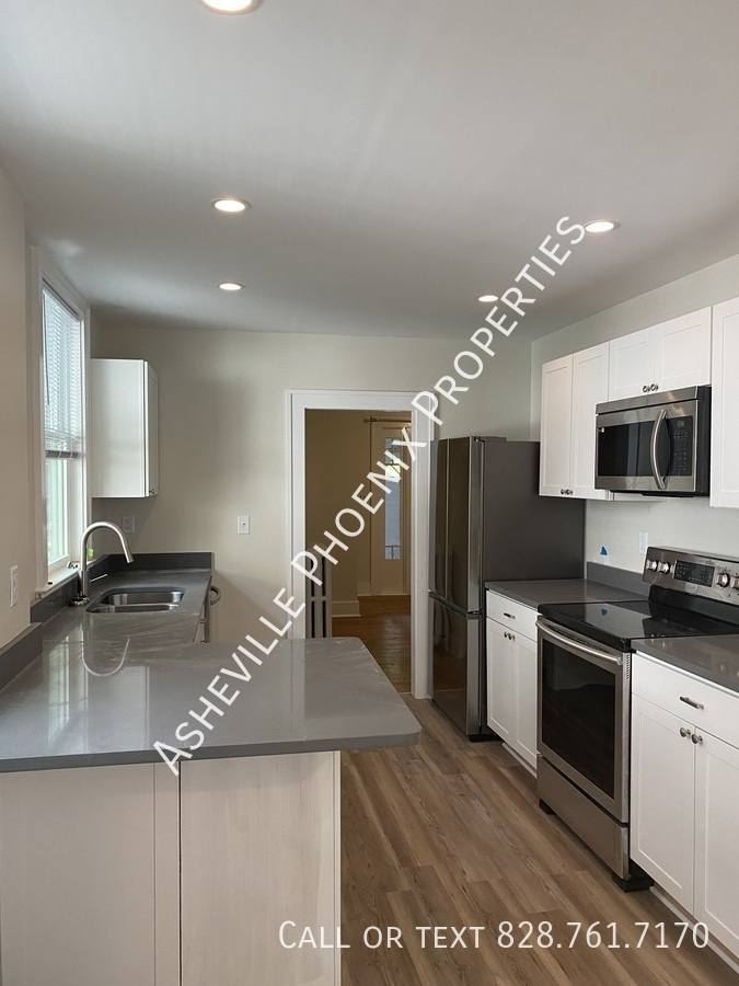 Apartment for rent at 295 E Chestnut St #1, Asheville, NC 28801