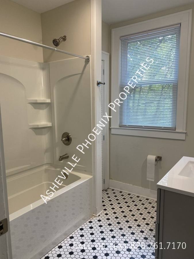 Apartment for rent at 295 E Chestnut St #1, Asheville, NC 28801