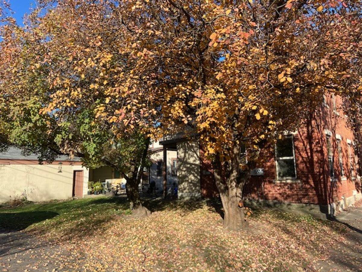 Apartment for rent at 929 S 3rd St, Columbus, OH 43206