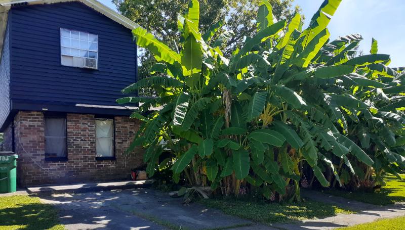 House for rent at 2785 Colony Court, Marrero, LA 70072