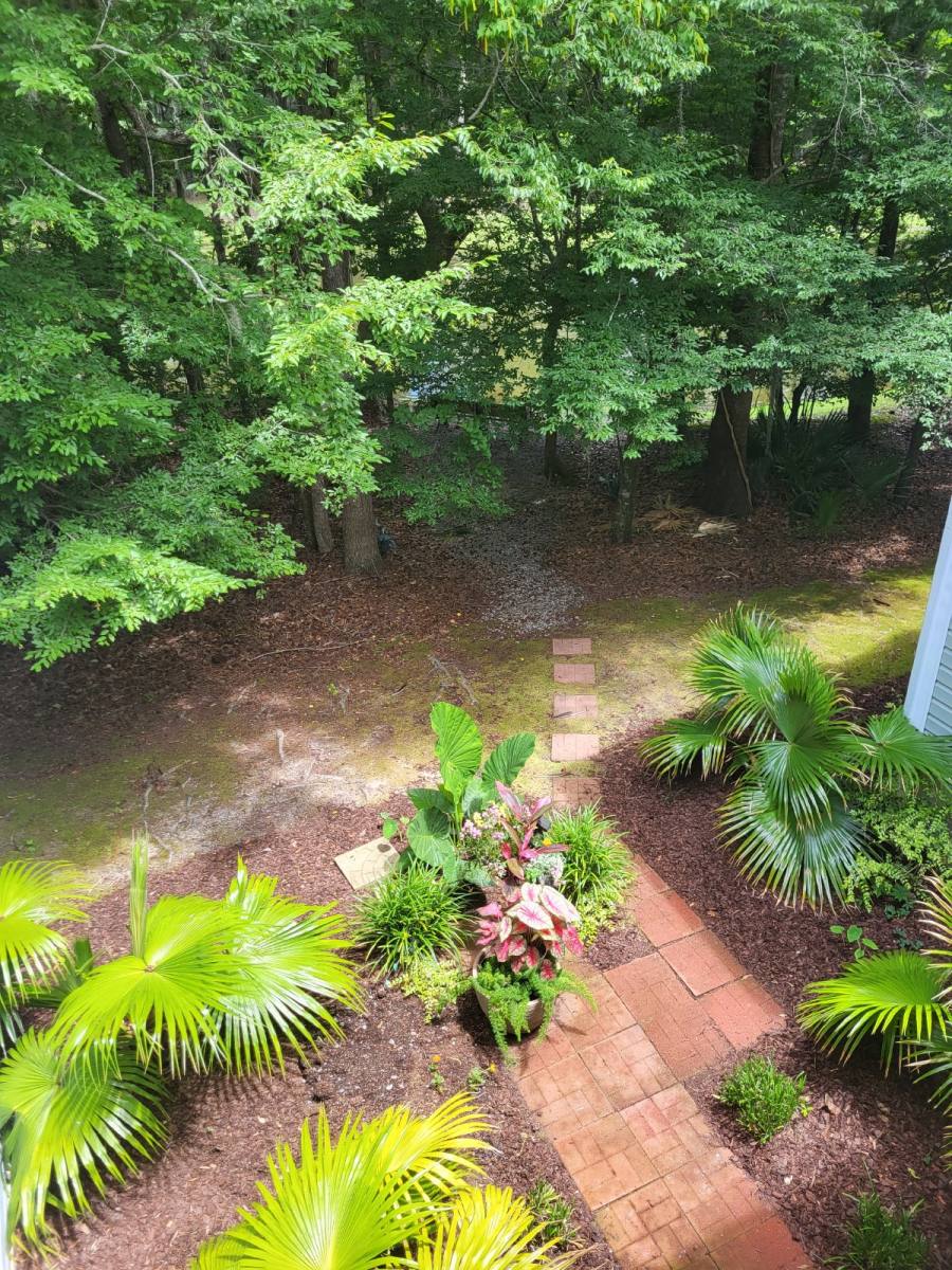 Condo for rent at 407 S Elgin Court, Charleston, SC 29414