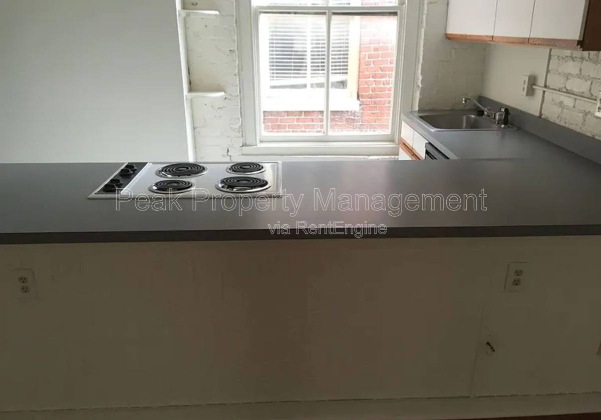 Apartment for rent at 308 W Broad St, Richmond, VA 23220