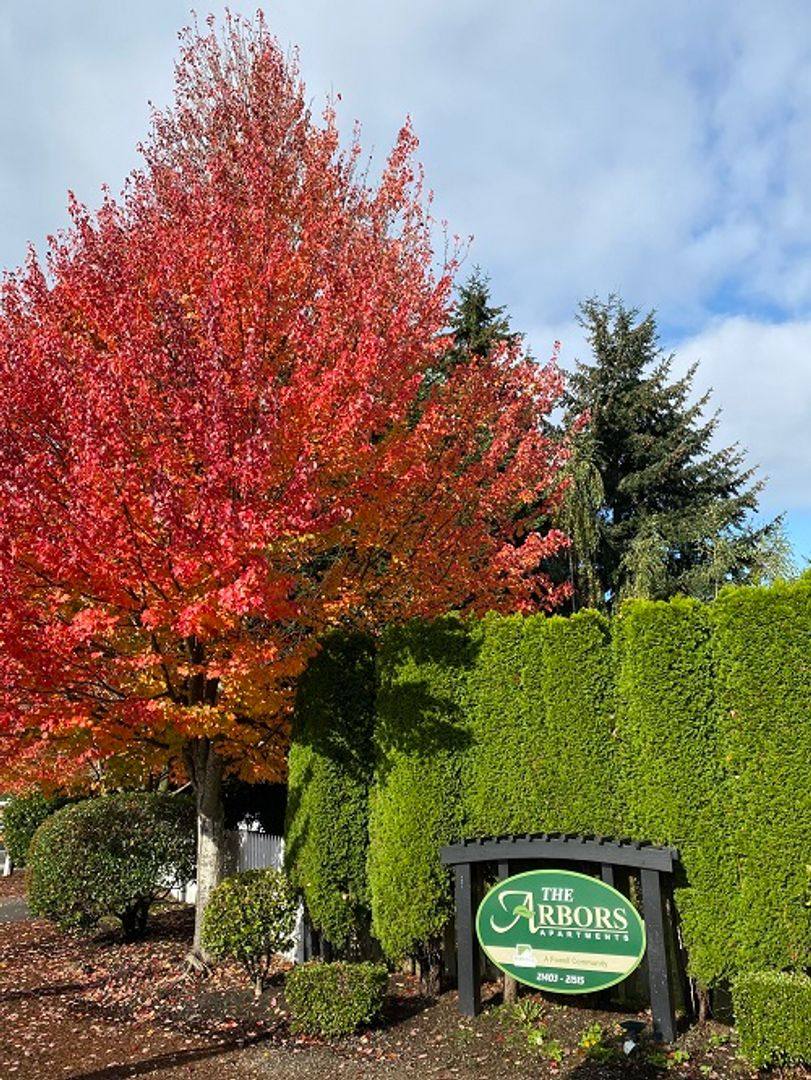 Apartment for rent at 21403-21515 12th Ave S, Seattle, WA 98199