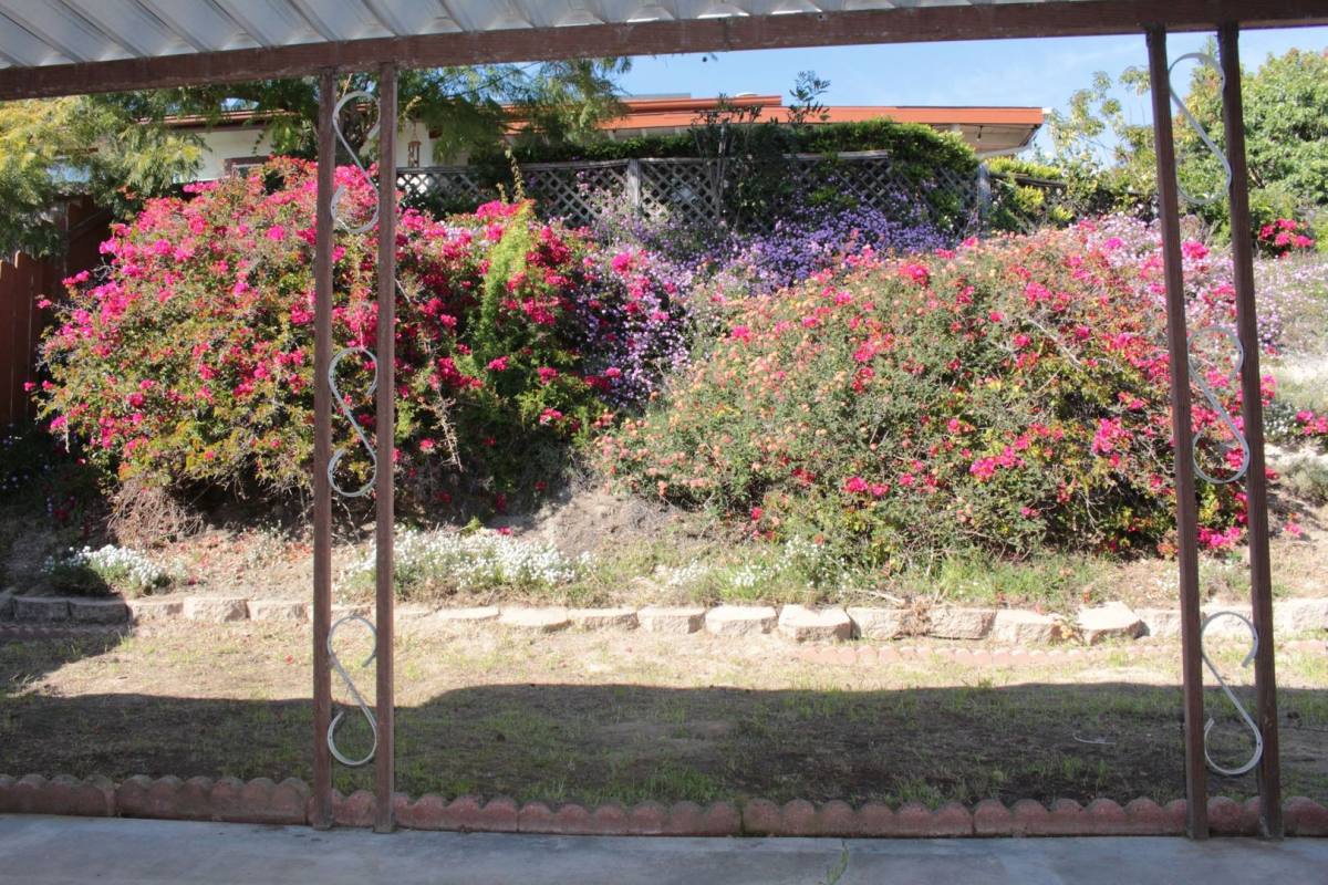 House for rent at 3644 Mira Pacific Dr, Oceanside, CA 92056