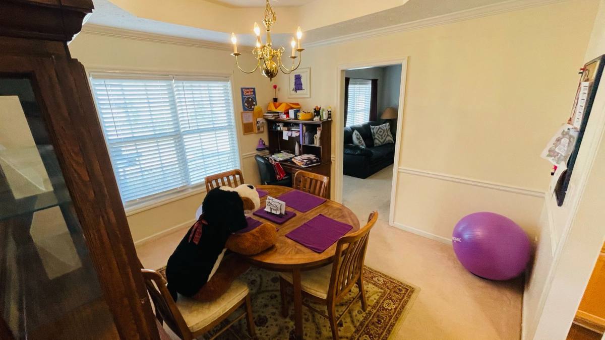 House for rent at 292 Chinaberry Court, Auburn, AL 36830