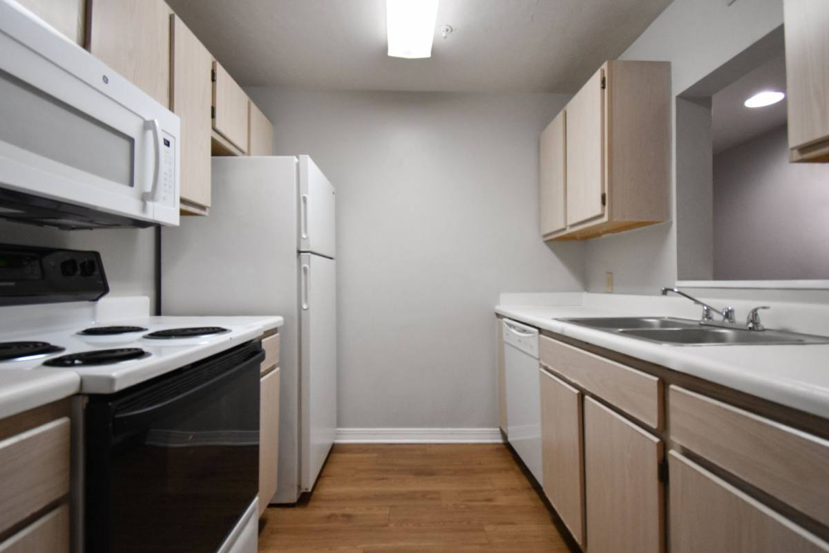 Apartment for rent at 2360 SW Archer Rd, Gainesville, FL 32608