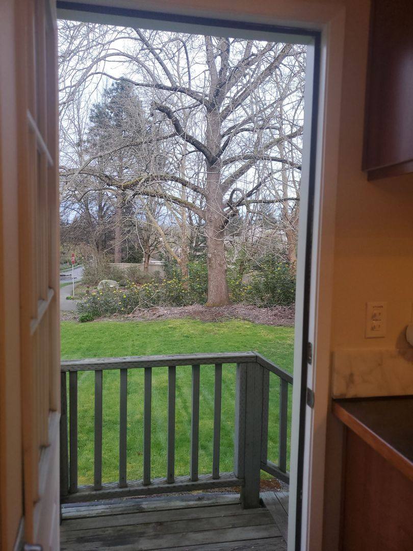 Apartment for rent at 6416 58th Ave NE, Seattle, WA 98115