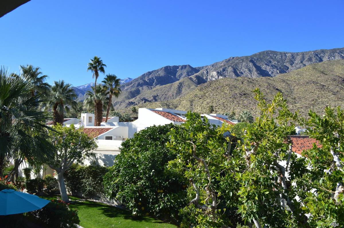 Condo for rent at 255 E Avenida Granada, Palm Springs, CA 92264