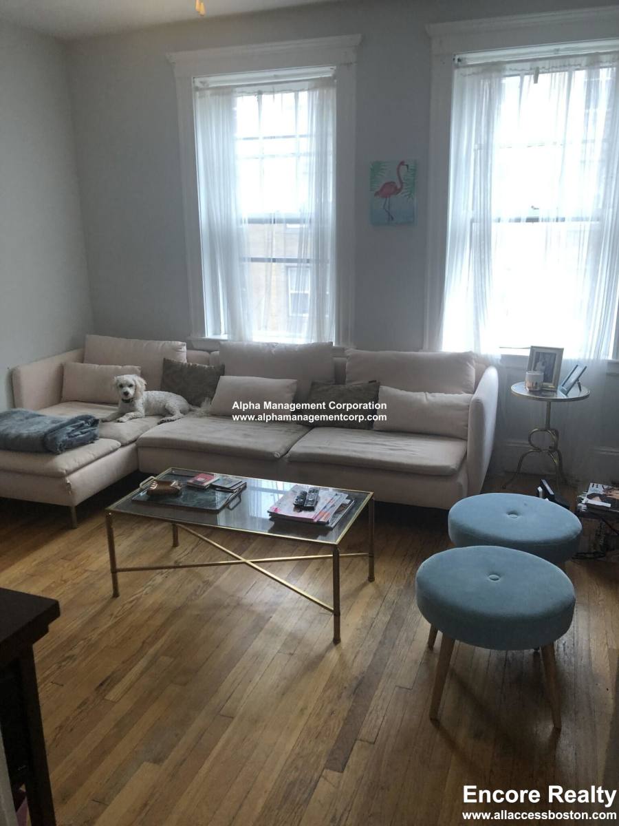 Apartment for rent at 10 Lothian Rd #12, Brighton, MA 02135