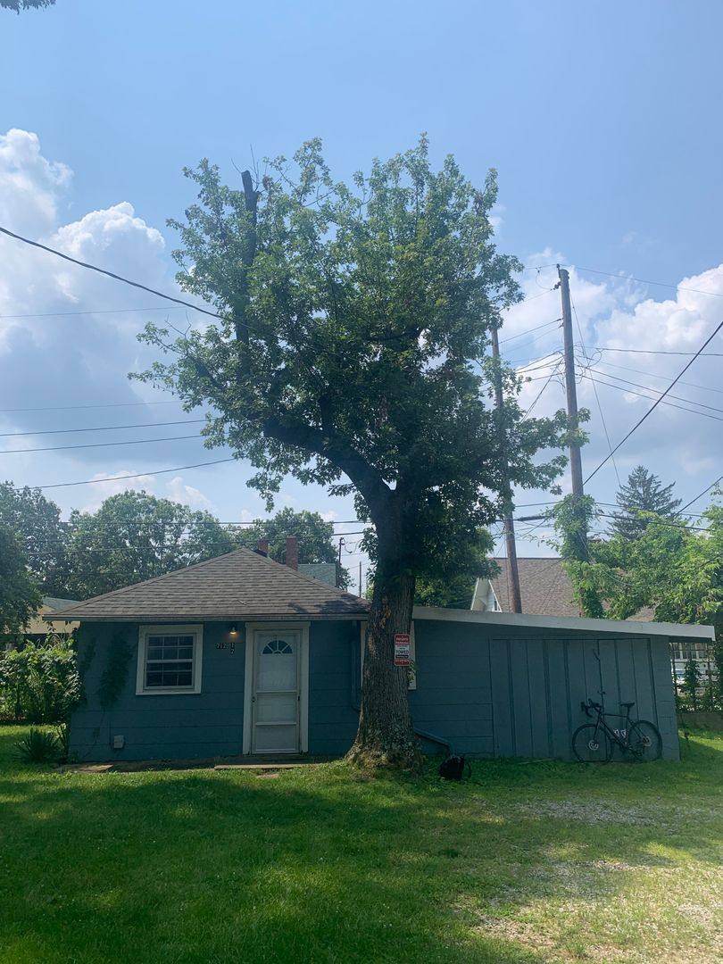 Apartment for rent at 712 1 2 E Cottage Grove Ave, Bloomington, IN 47408
