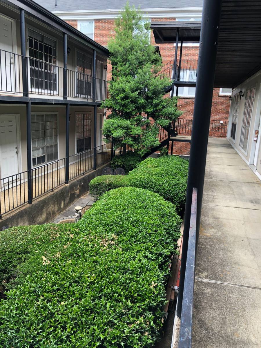 Apartment for rent at 1033 30th St S, Birmingham, AL 35205